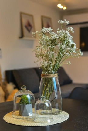 Apartman Sinjska Alka